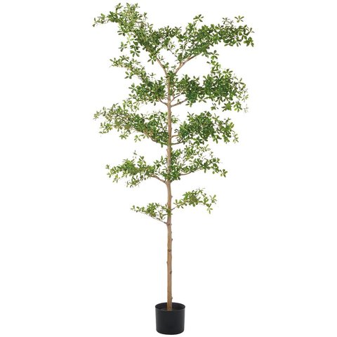 8' Shady Lady Tree-featured
