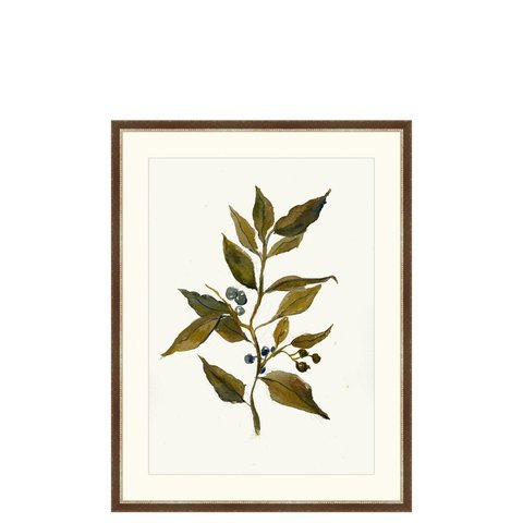 Branch Drawing-featured