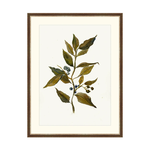 Branch Drawing-featured