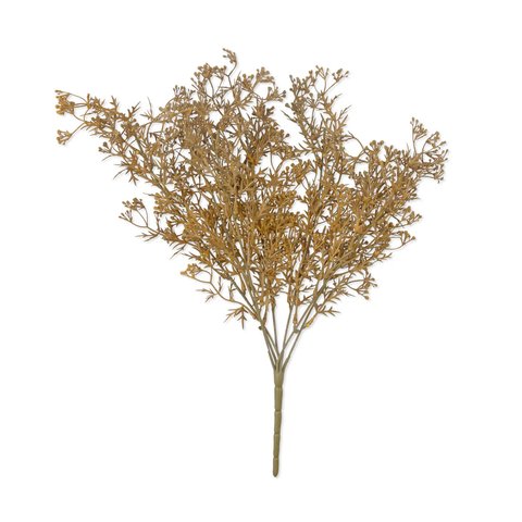 Dunewisp Meadow Grass-featured