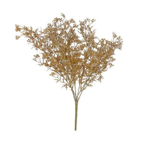 Dunewisp Meadow Grass-featured