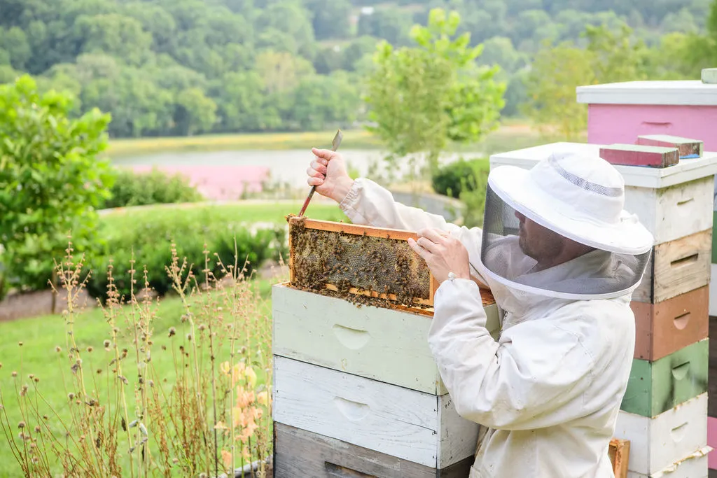 On Ranch Time: Southall Apiary