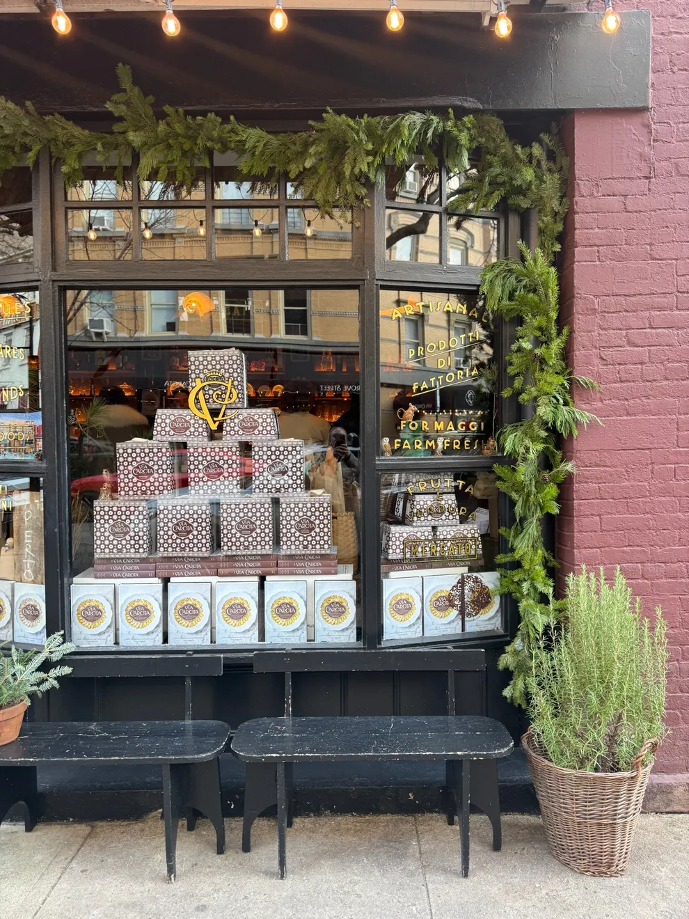 Pure Salt NYC Travel Guide