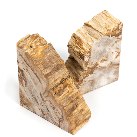 Zana Petrified Wood Bookends-featured